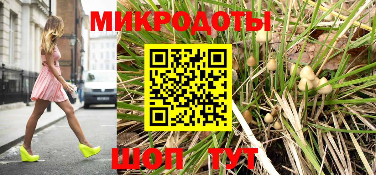 Ярославль  Галлюциногенные грибы GOLDEN TEACHER  Вход с VPN  Псилоцибиновые грибы Cubensis 